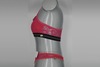 Senhora OEM de alta qualidade suti&atilde; e calcinha definir lingerie feminina (JMC25017)